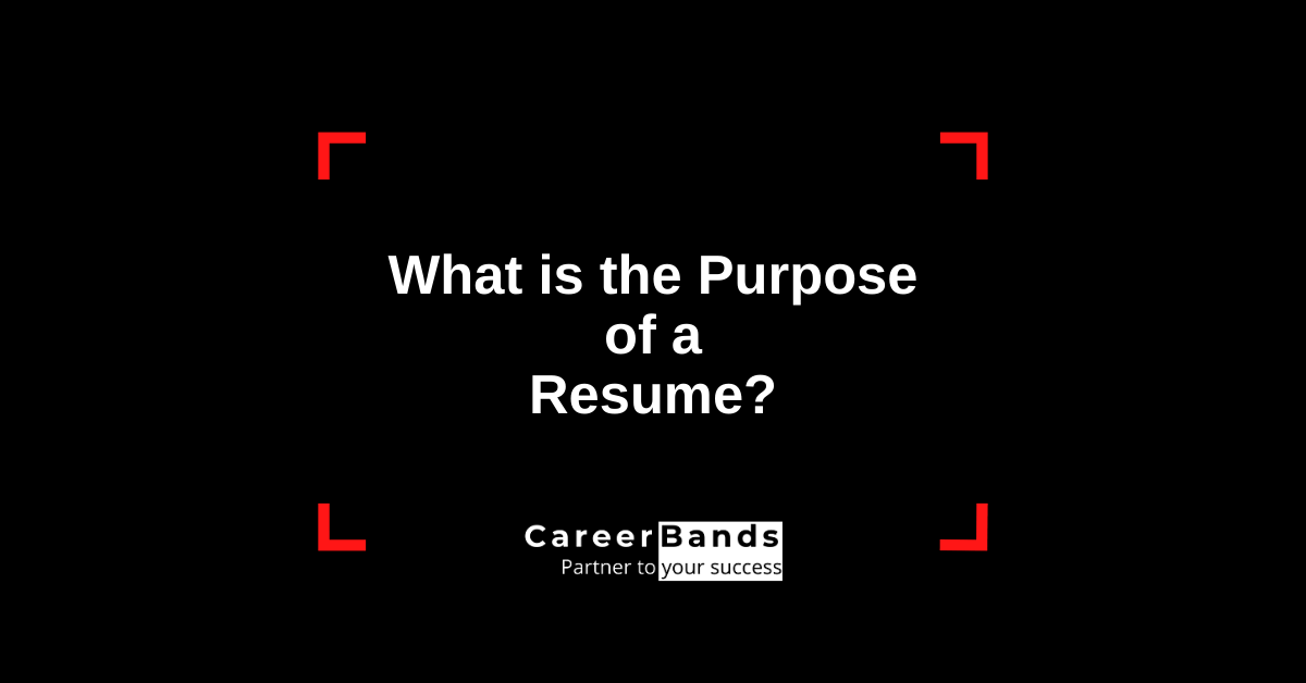 purpose of employment resume